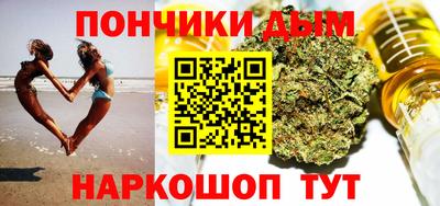 ГАЛЛЮЦИНОГЕННЫЕ ГРИБЫ Кингисепп