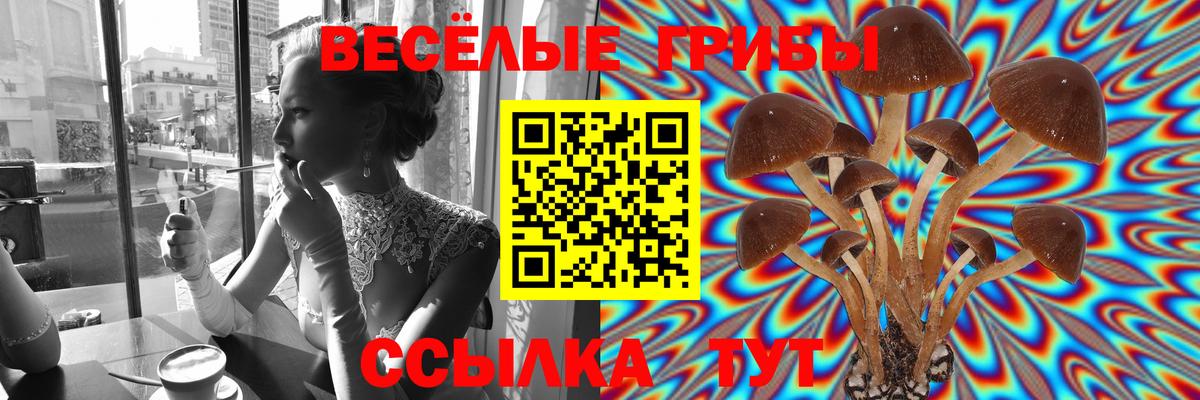 Псилоцибиновые грибы мухоморы Россия